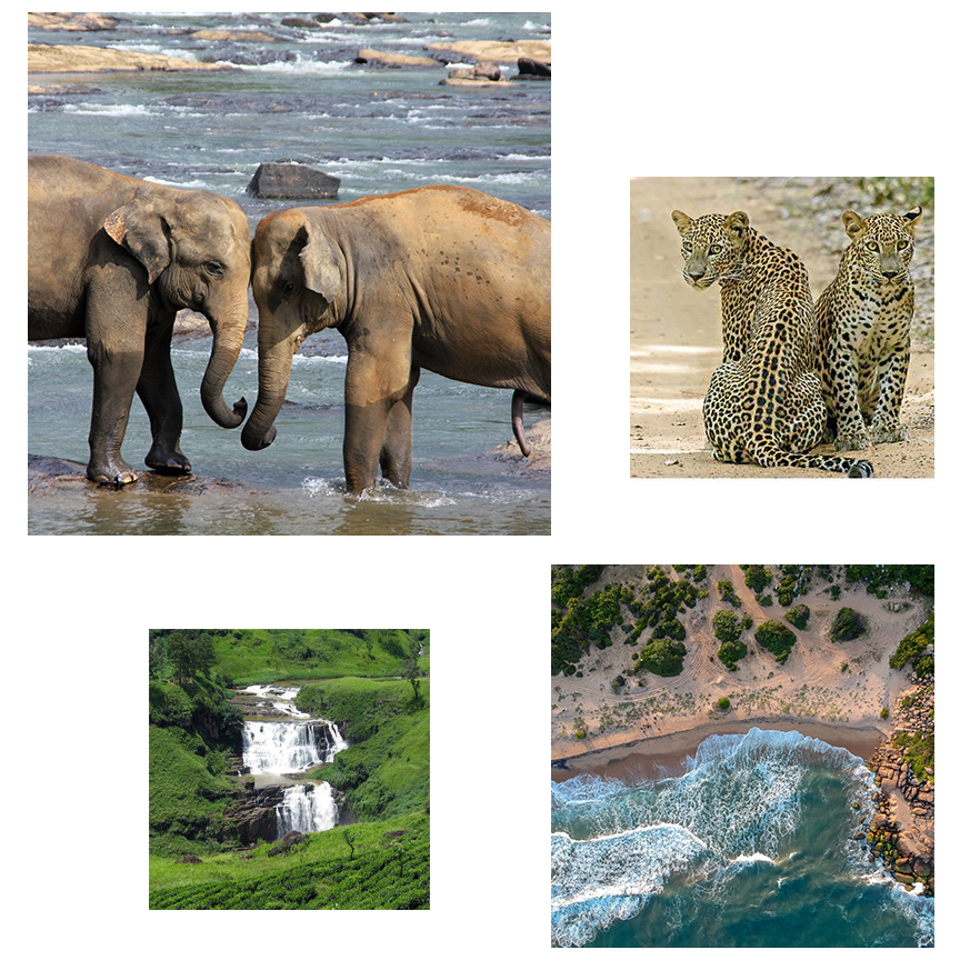 natureland-tours-sri-lanka